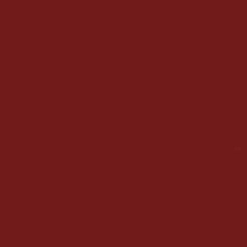 Dark red Kitchen Worktop