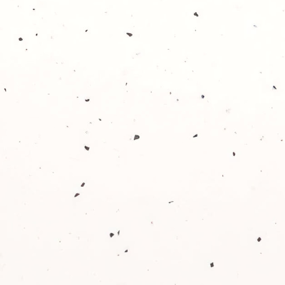 Vanilla