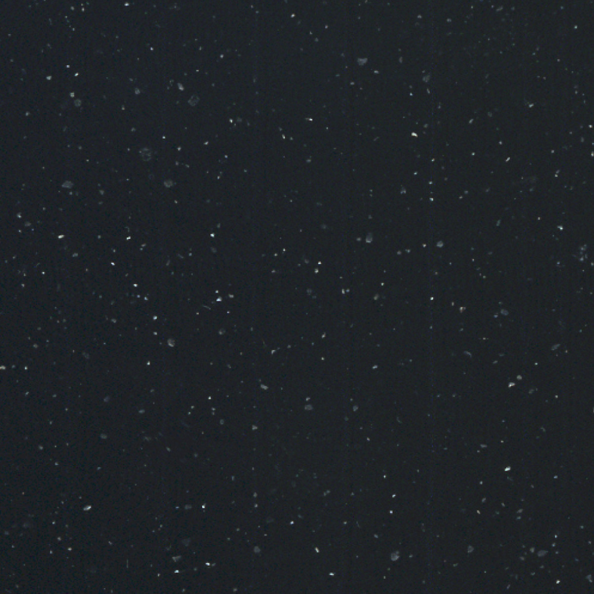 Night Gleam
