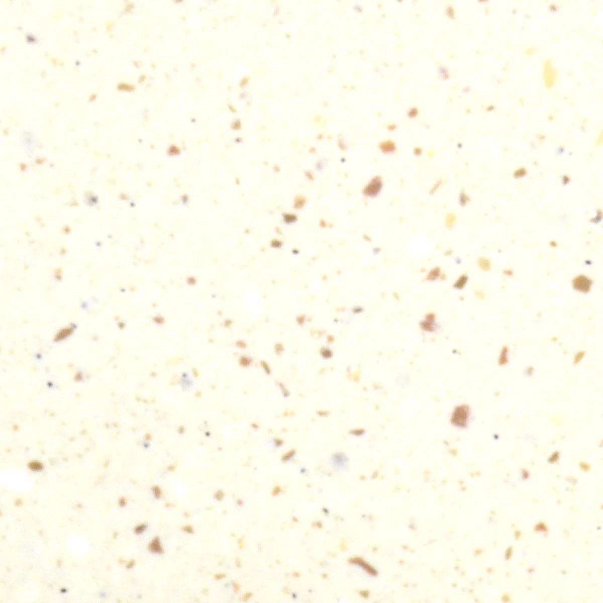 Tristone Sweet Peanut solid surface kitchen worktop