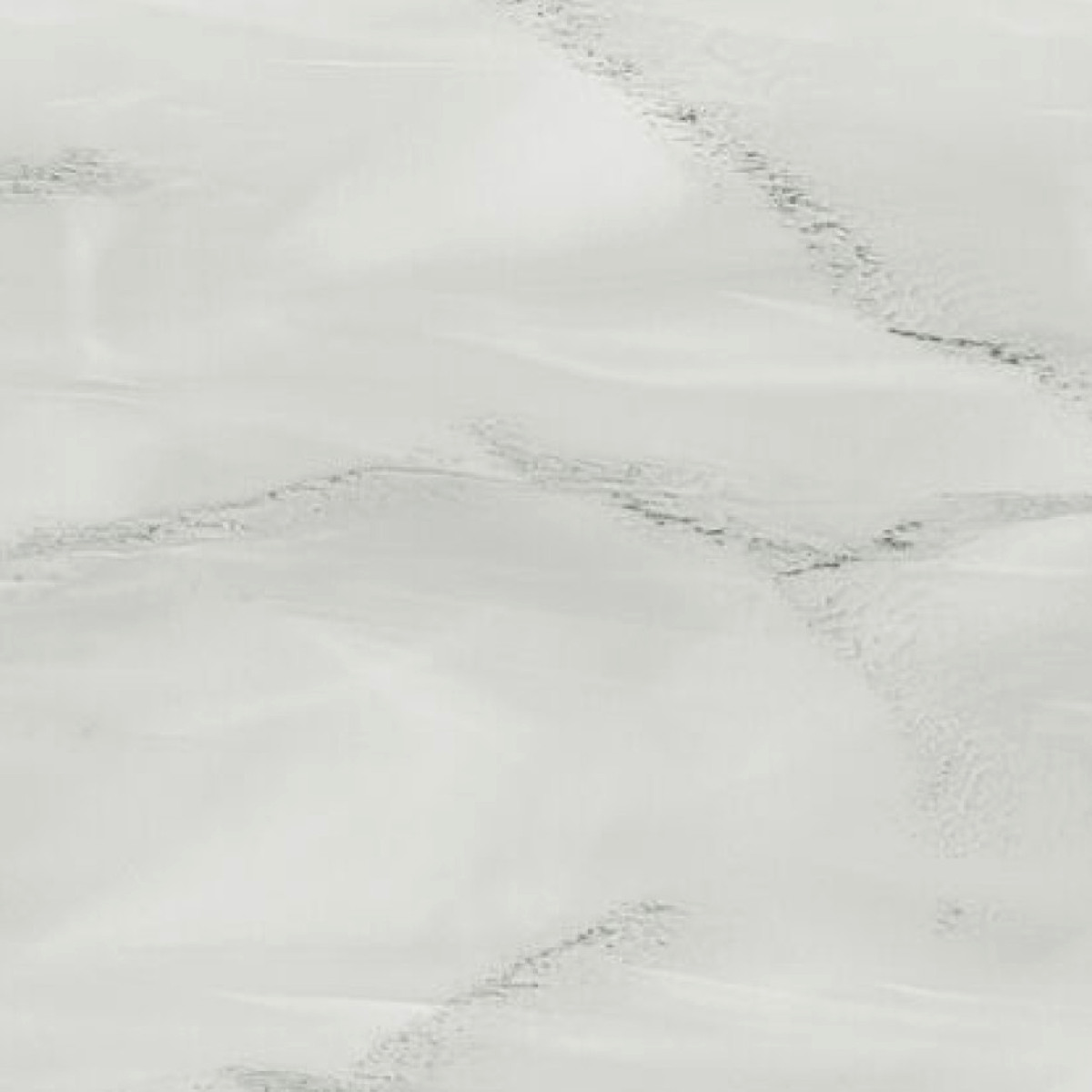 VM-005 Venato Stella_ Detail-small