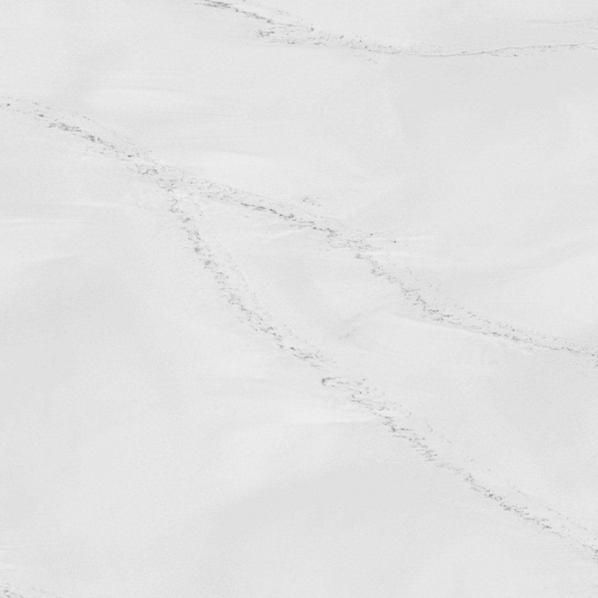 Venato Blanc (4)-small