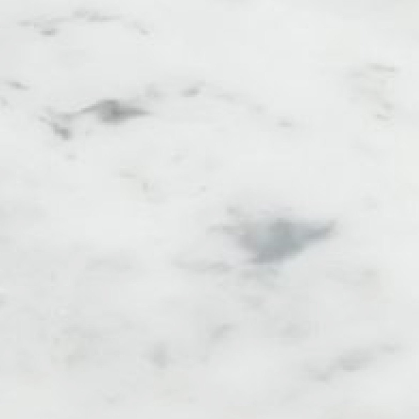 minerva® Carrara White CA Veined decor jpg